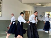 More about Aikido at Vikes Recreation - Katatetori ikkyo Josh S nage Clara C uke